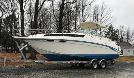 1991 Celebrity 290 Cruiser