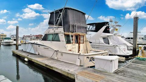 1978 Hatteras Convertible