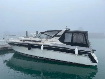 1989 Wellcraft St Tropez 3200