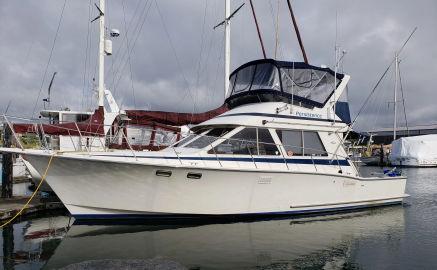 1990 Tollycraft 40 Spotfisher