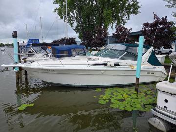 1993 Sea Ray 330 Express Cruiser