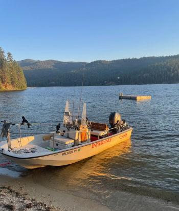 1989 Boston Whaler Montauk 17