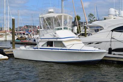 1977 Bertram 28 Flybridge Cruiser