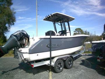 2024 Robalo R230