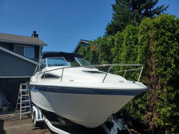 1989 Sea Ray 220 Sundeck