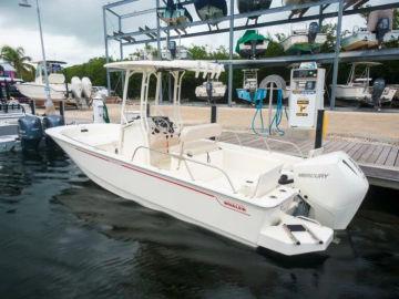 2024 Boston Whaler 210 Montauk