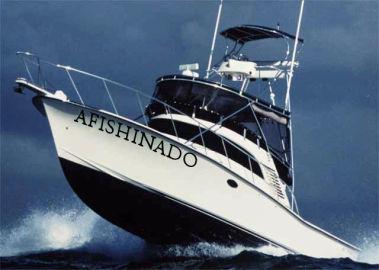 1998 Canaveral Custom Boats Inc 36 SFX