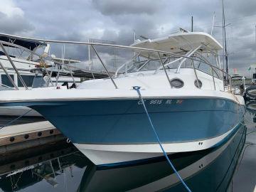 2009 Seaswirl Striper 2901 Walkaround O/B