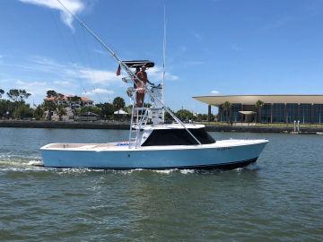 1981 Bertram 31 Sportfish