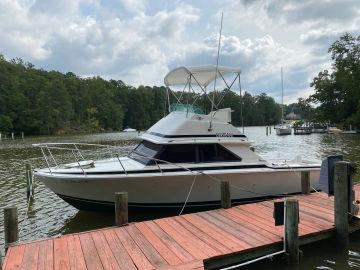 1990 Bertram 28 Flybridge