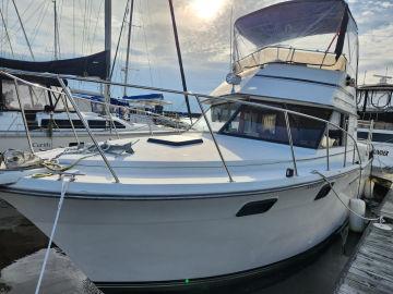 1986 Carver 3207 Aft Cabin