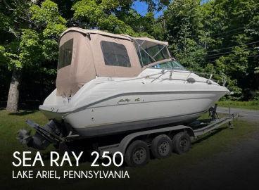 1996 Sea Ray 250 EC