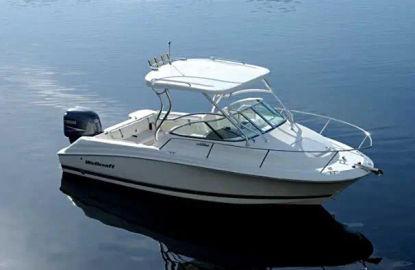 2005 Wellcraft 232 Coastal