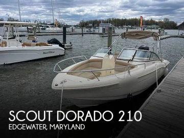 2022 Scout Dorado 210