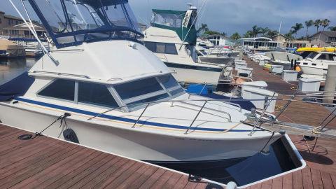 1978 Bertram 28 Sport Fisherman