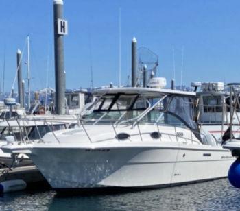 2005 Wellcraft 290 Coastal