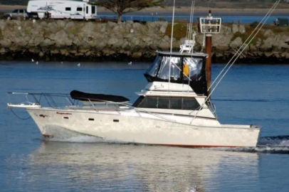 1974 Viking Sportfish