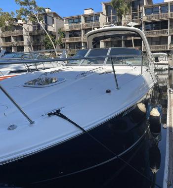 2009 Sea Ray 310 Sundancer