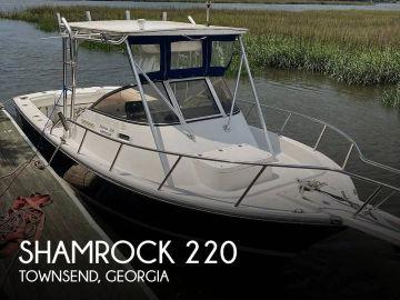 1991 Shamrock Warrior 220