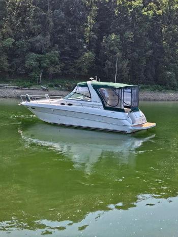 2000 Sea Ray 310 Sundancer