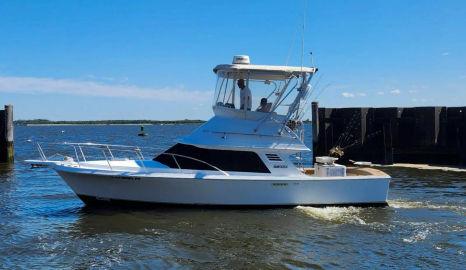 1990 Blackfin 29 Flybridge