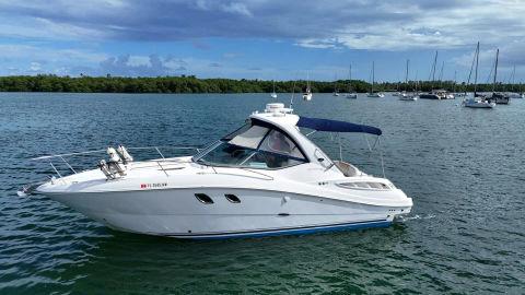 2009 Sea Ray 310 Sundancer