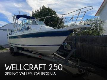 1990 Wellcraft 250 Sportsman