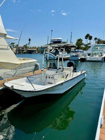 2015 Boston Whaler 17 Montauk