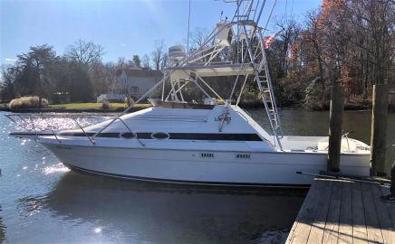 1988 Luhrs 290 Express Sportfish w/Tower