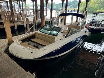 2019 SEA RAY 250SDX