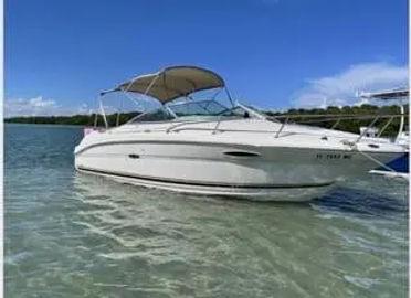 2001 Sea Ray 22 WEEKENDER