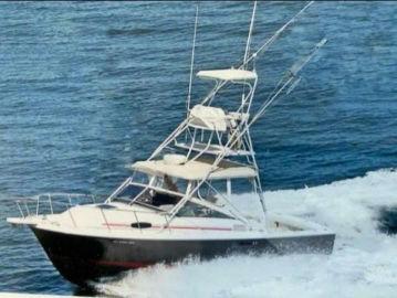 1992 Blackfin 29 Combi