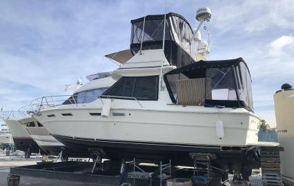 1979 Sea Ray 300 Sport Bridge