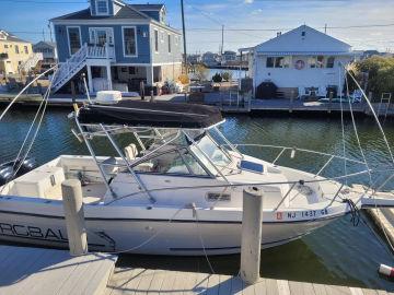 1993 Robalo 2440 Walkaround