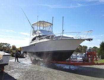 1990 Luhrs 350 Tournament