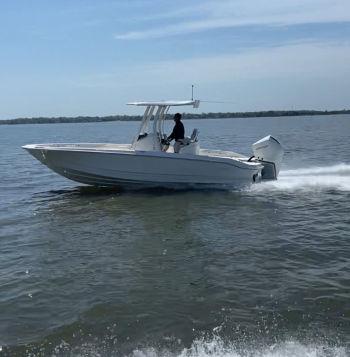 2024 Boston Whaler 250 Dauntless