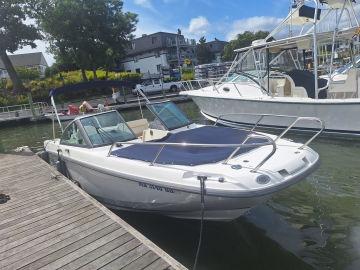 2018 Boston Whaler 230 Vantage