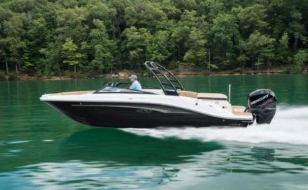 2024 Sea Ray SPX 230 Outboard