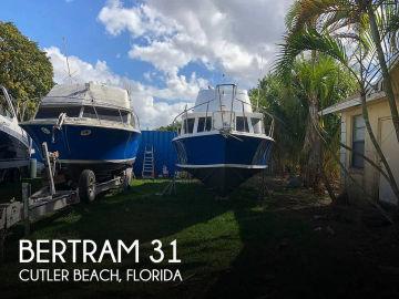 1961 Bertram 31 Sportfish