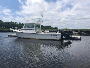 2010 Steiger Craft 25'