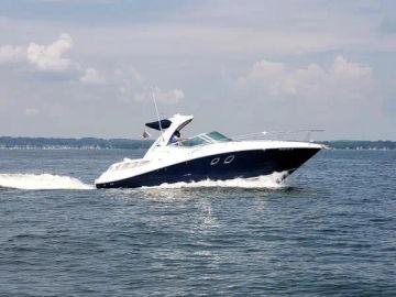 2009 Sea Ray 310 Sundancer