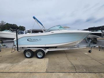 2024 ROBALO 207 DC