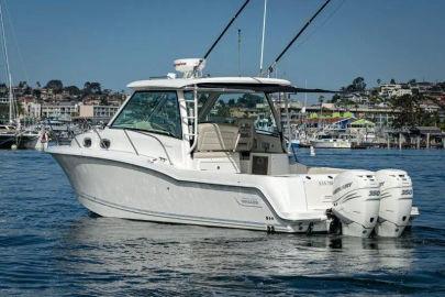 2019 Boston Whaler 13