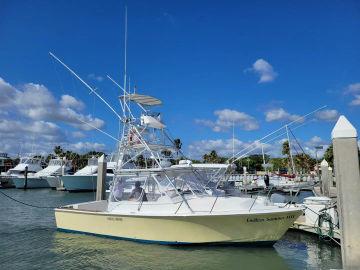 1986 Black Watch 30 Express Sportfisherman