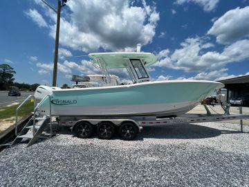 2024 ROBALO 270 CC