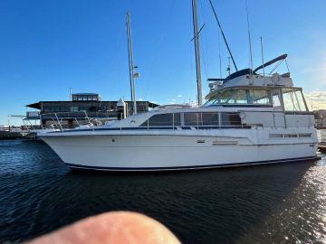 1986 Bertram 46 Motor Yacht