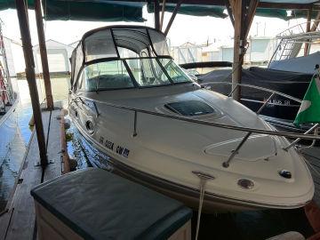 2010 Sea Ray 240 Sundancer