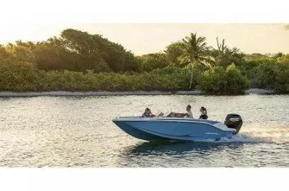 2023 Bayliner M17