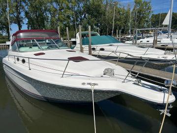 1994 Sea Ray 300 Sundancer