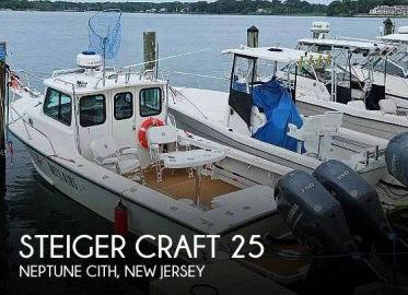 2004 Steiger Craft Chesapeake 25